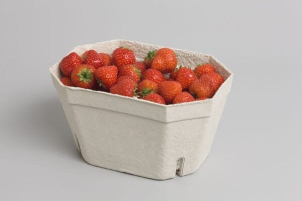 PULP trauciņi, 1kg / 200 x 138 x 108 mm, bez apdrukas, 100 gab.