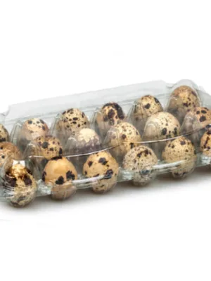 Paipalu olu kastes, 24 olām (12x2), 100 gab.