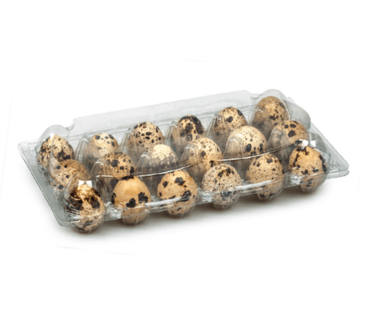 Paipalu olu kastes, 24 olām (12x2), 100 gab.