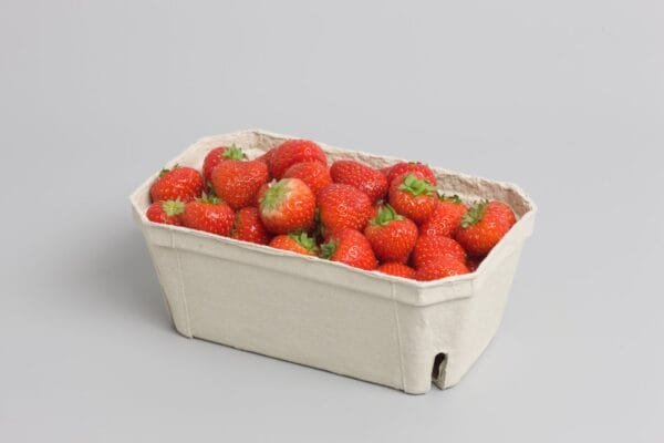 PULP trauciņi,  500g / 185 x 108 x 68 mm, bez apdrukas, 100 gab.