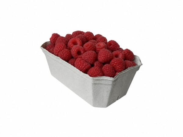Celulozes trauciņi,  500g / 185 x 108 x 68 mm, bez apdrukas, 100 gab.