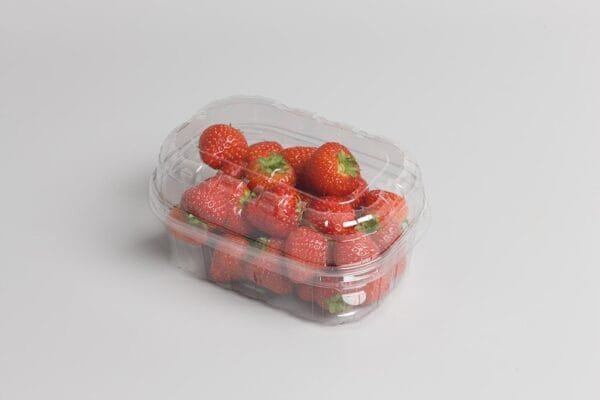 RPET trauciņi, 250g / 142 x 94 x 52 mm, bez vākiem, 100 gab.