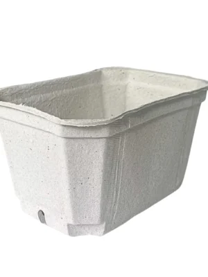 Celulozes trauciņi, 1kg / 200 x 138 x 108 mm, bez apdrukas, 100 gab.